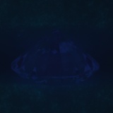 Fluorescence