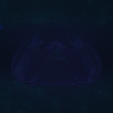 Fluorescence